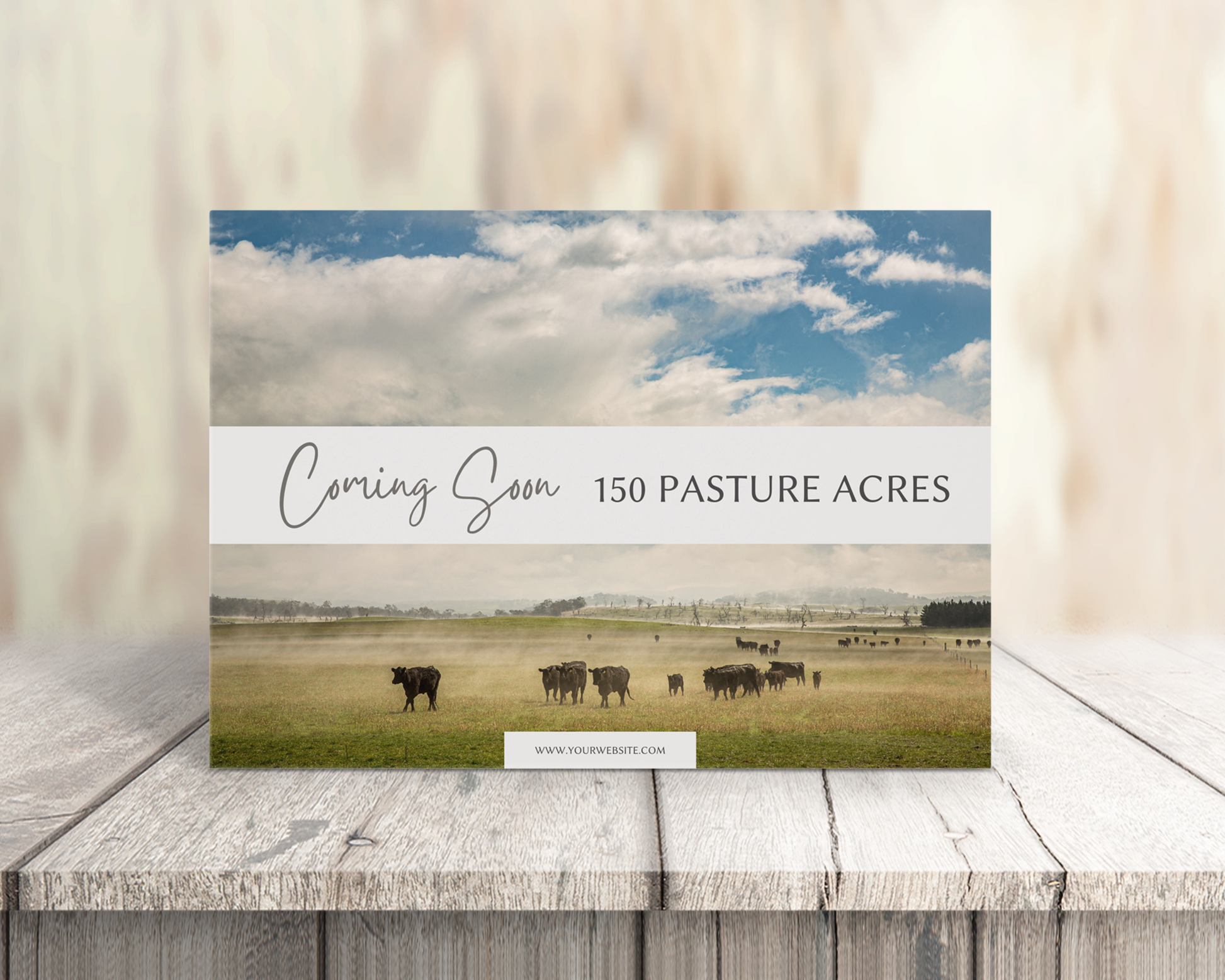 Real Estate Template – Postcard 8