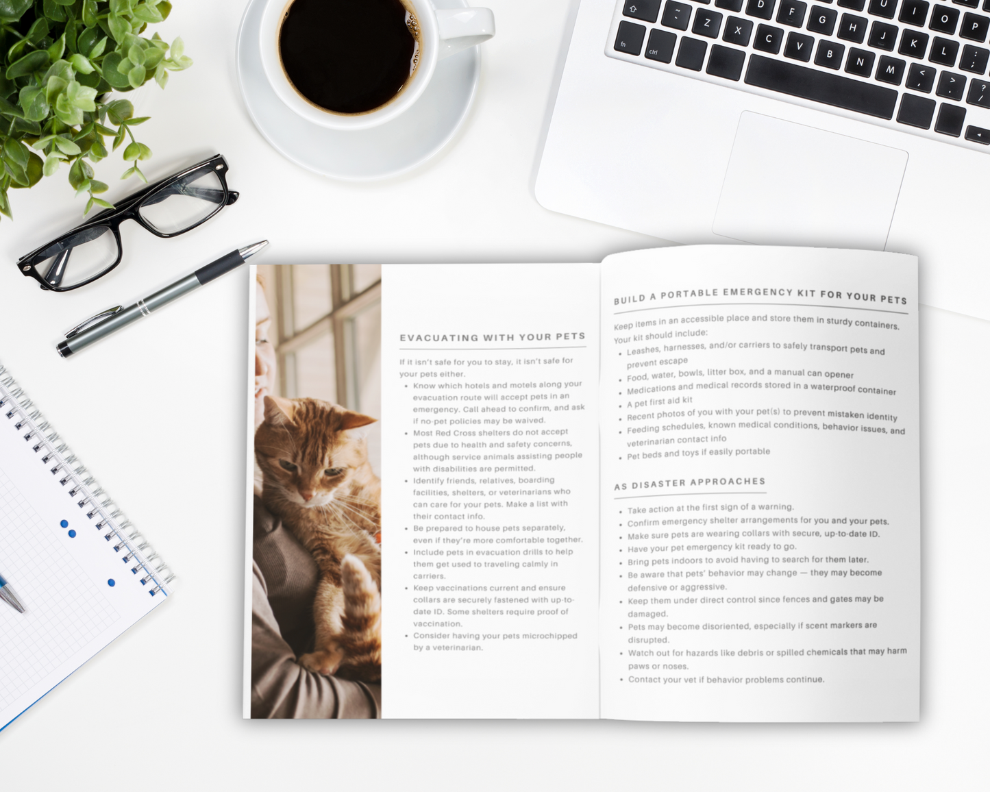 Staying Safe at Home Guide