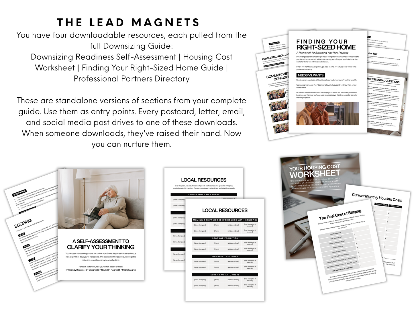 The Downsizing Marketing System - Classic Design Style